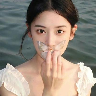 圣域第一季